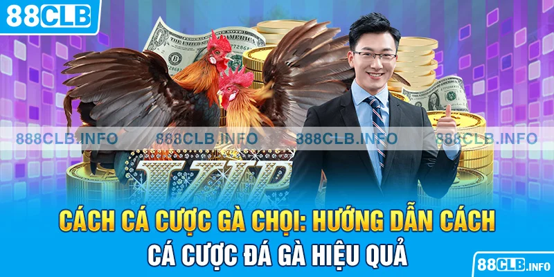 Cách Cá Cược Gà Chọi: Hướng Dẫn Cách Cá Cược Đá Gà Hiệu Quả - Getuxa