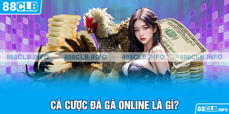 Cách Cá Cược Gà Chọi: Hướng Dẫn Cách Cá Cược Đá Gà Hiệu Quả - Getuxa