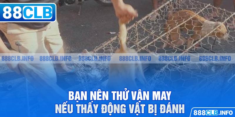 Nằm Mơ Thấy Đánh Nhau Đánh Đề Số Mấy - Giải Đáp Chi Tiết - Getuxa