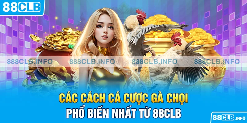 Cách Cá Cược Gà Chọi: Hướng Dẫn Cách Cá Cược Đá Gà Hiệu Quả - Getuxa