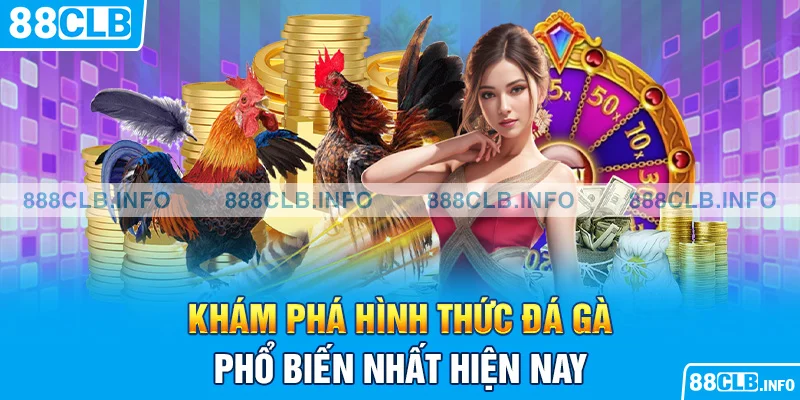 Cách Cá Cược Gà Chọi: Hướng Dẫn Cách Cá Cược Đá Gà Hiệu Quả - Getuxa