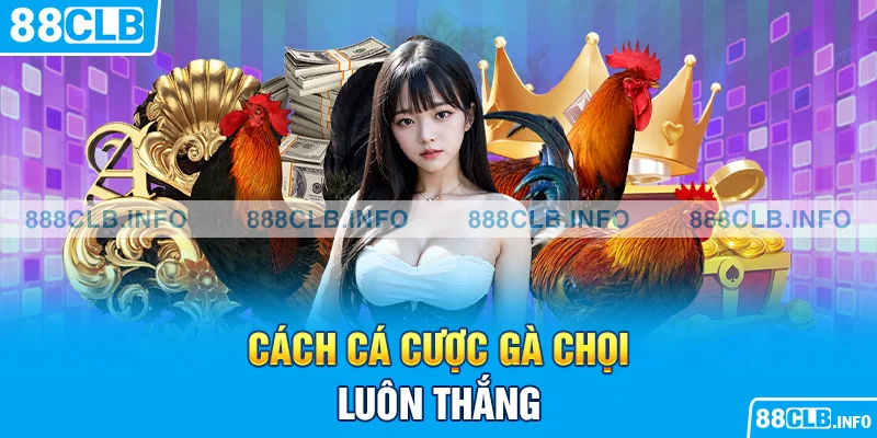 Cách Cá Cược Gà Chọi: Hướng Dẫn Cách Cá Cược Đá Gà Hiệu Quả - Getuxa