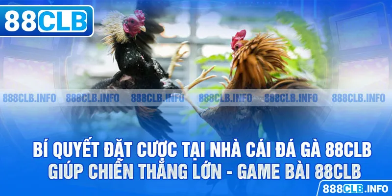 Đá gà 88CLB - Đẳng Cấp Tạo Nên Thương Hiệu Danh Giá - Getuxa