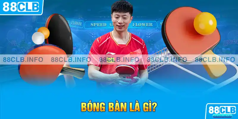 Cá Cược Bóng Bàn Là Gì? 88CLB Bật Mí Kinh Nghiệm Chơi - Getuxa