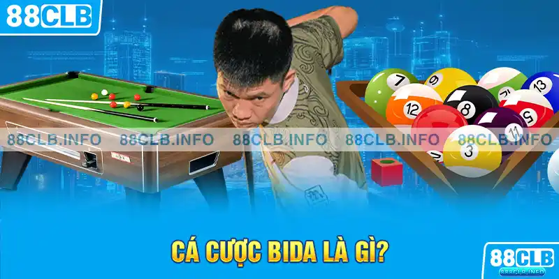 Cá Cược Bida - Hướng Dẫn Kinh Nghiệm Chơi Hay Nhất - Getuxa