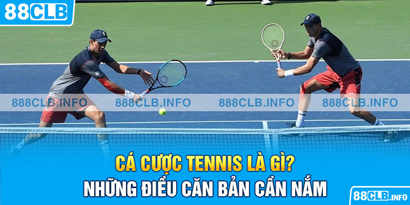 Cá Cược Tennis Là Gì? Hướng Dẫn Toàn Diện Cho Tân Binh - Getuxa