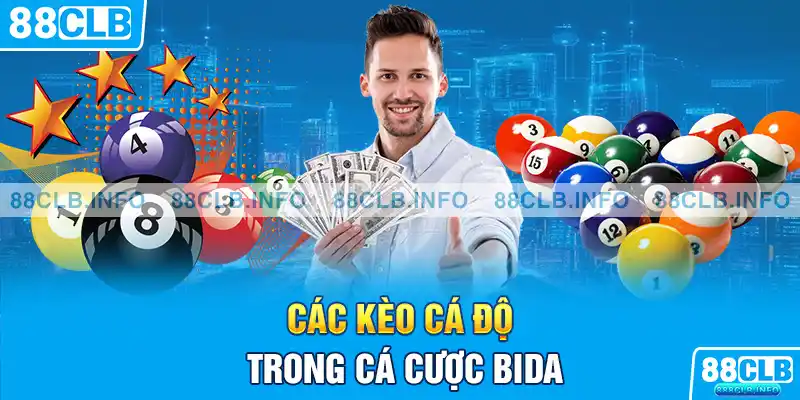 Cá Cược Bida - Hướng Dẫn Kinh Nghiệm Chơi Hay Nhất - Getuxa