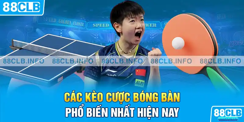 Cá Cược Bóng Bàn Là Gì? 88CLB Bật Mí Kinh Nghiệm Chơi - Getuxa