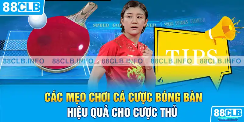 Cá Cược Bóng Bàn Là Gì? 88CLB Bật Mí Kinh Nghiệm Chơi - Getuxa