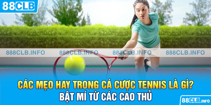 Cá Cược Tennis Là Gì? Hướng Dẫn Toàn Diện Cho Tân Binh - Getuxa