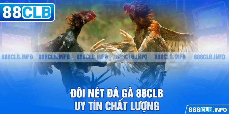 Đá gà 88CLB - Đẳng Cấp Tạo Nên Thương Hiệu Danh Giá - Getuxa