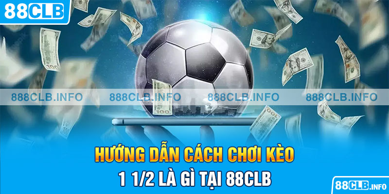 Kèo 1 1/2 Là Gì? - Bật Mí Mọi Thông Tin Chi Tiết Nhất - Getuxa