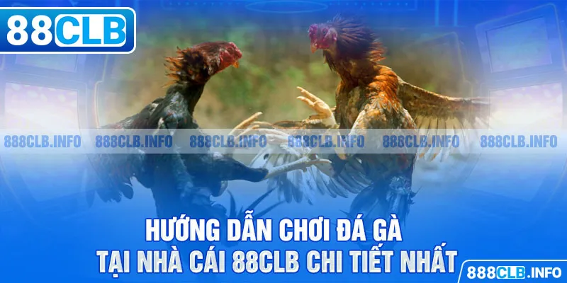Đá gà 88CLB - Đẳng Cấp Tạo Nên Thương Hiệu Danh Giá - Getuxa