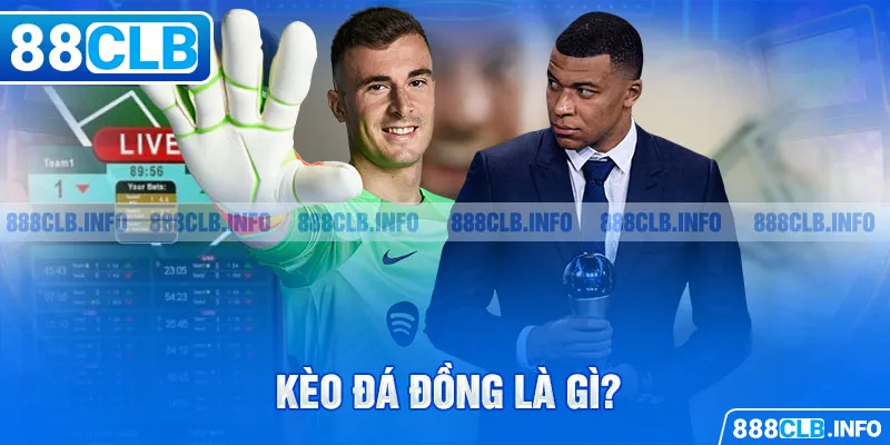 Kèo Đá Đồng Là Gì - Khám Phá Bí Mật Cá Cược Kèo Bóng Đá - Getuxa