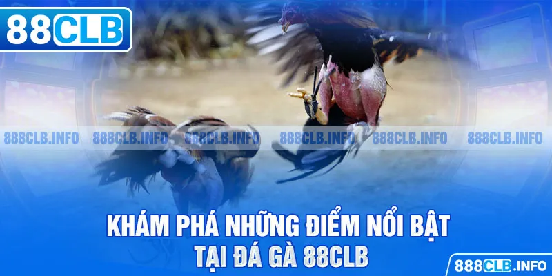 Đá gà 88CLB - Đẳng Cấp Tạo Nên Thương Hiệu Danh Giá - Getuxa