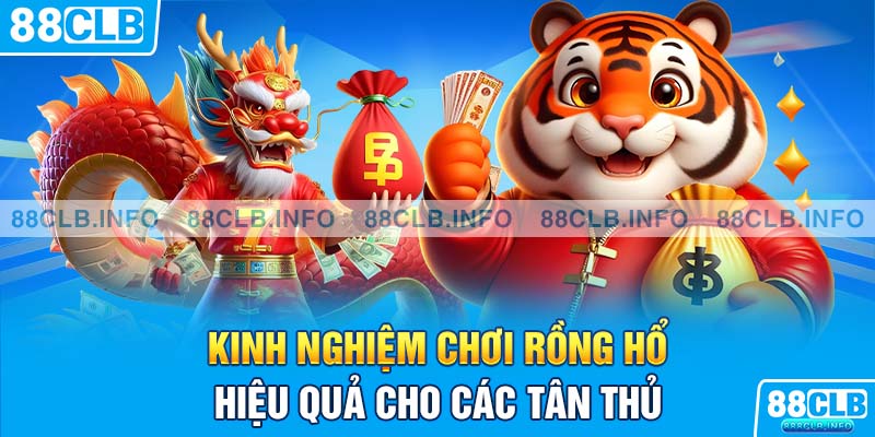 Rồng Hổ Là Gì? Hướng Dẫn Chơi Chi Tiết Cho Người Mới - Getuxa