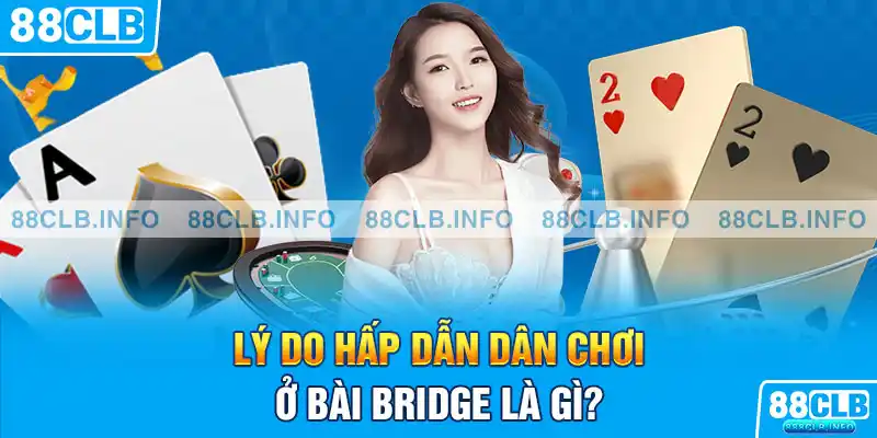 Bài Bridge Là Gì? Khám Phá Toàn Diện Trò Chơi Đẳng Cấp 2026 - Getuxa