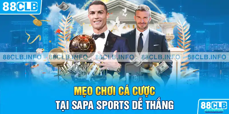 Sapa Sports Là Gì - Thông Tin Chi Tiết Về Sảnh Cá Cược - Getuxa