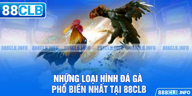 Đá gà 88CLB - Đẳng Cấp Tạo Nên Thương Hiệu Danh Giá - Getuxa