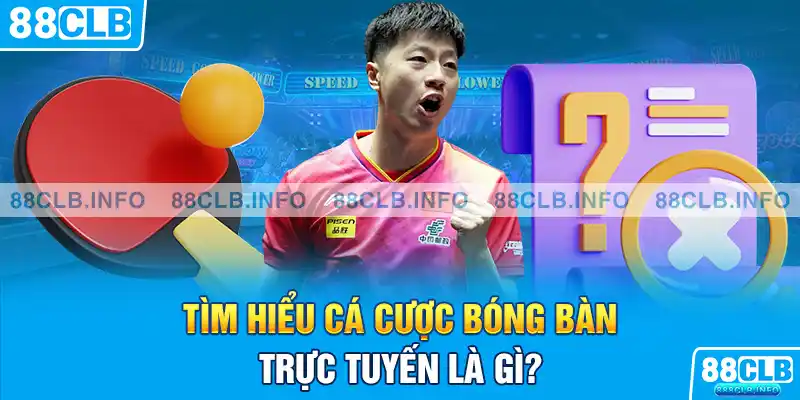 Cá Cược Bóng Bàn Là Gì? 88CLB Bật Mí Kinh Nghiệm Chơi - Getuxa