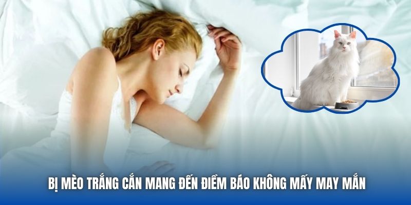 Mơ Thấy Mèo Trắng Có Ý Nghĩa Gì, Nên Đánh Cặp Lô Nào? - Getuxa