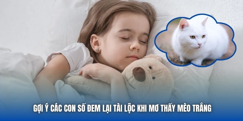 Mơ Thấy Mèo Trắng Có Ý Nghĩa Gì, Nên Đánh Cặp Lô Nào? - Getuxa