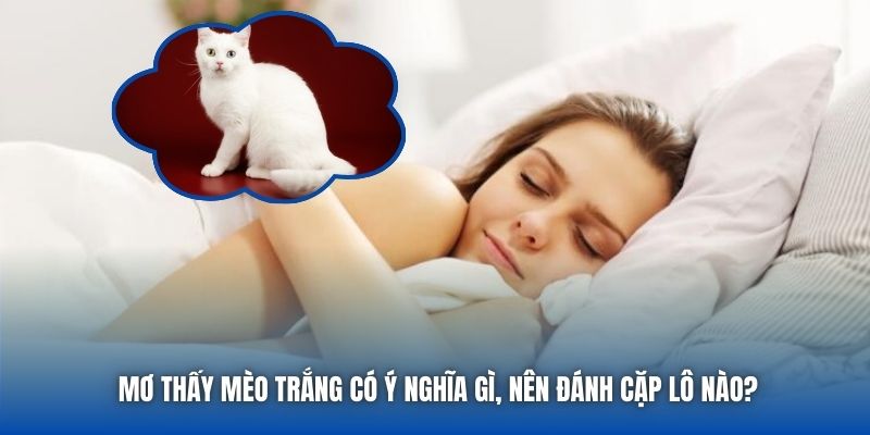 Mơ Thấy Mèo Trắng Có Ý Nghĩa Gì, Nên Đánh Cặp Lô Nào? - Getuxa