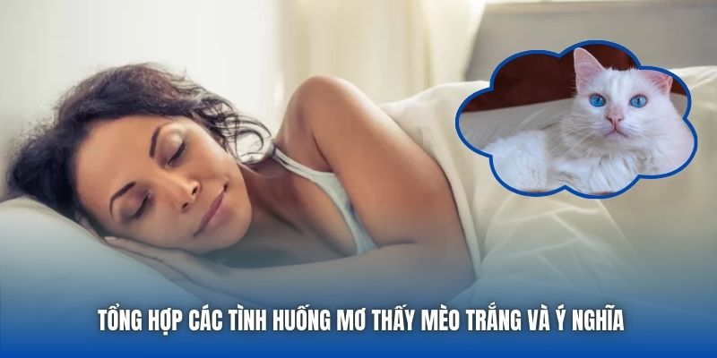 Mơ Thấy Mèo Trắng Có Ý Nghĩa Gì, Nên Đánh Cặp Lô Nào? - Getuxa