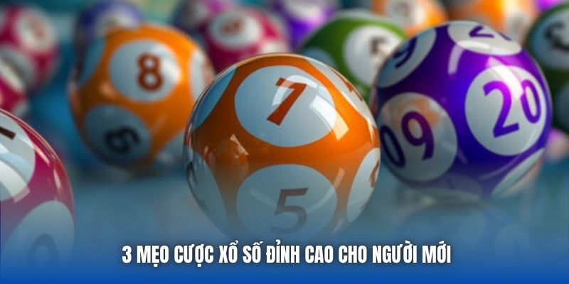 Cách Chơi Xổ Số Vietlott Cực Dễ Dàng Và Hiệu Quả Cho Newbies - Getuxa