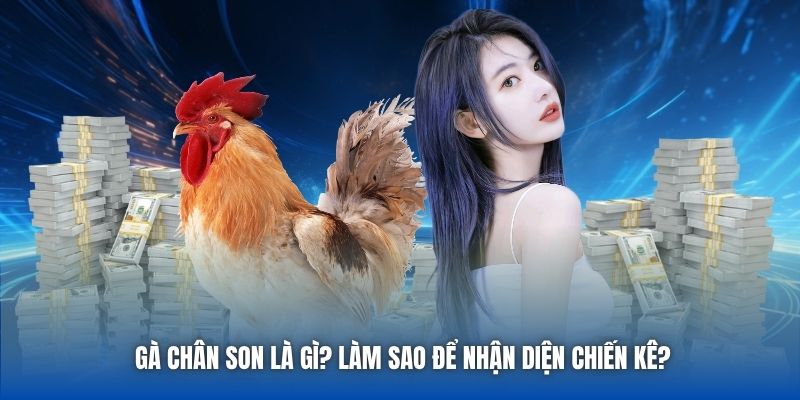 Gà Chân Son Là Gì - Tất Tật Tật Thông Tin Về Giống Kê Quý - Getuxa