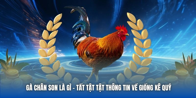 Gà Chân Son Là Gì - Tất Tật Tật Thông Tin Về Giống Kê Quý - Getuxa