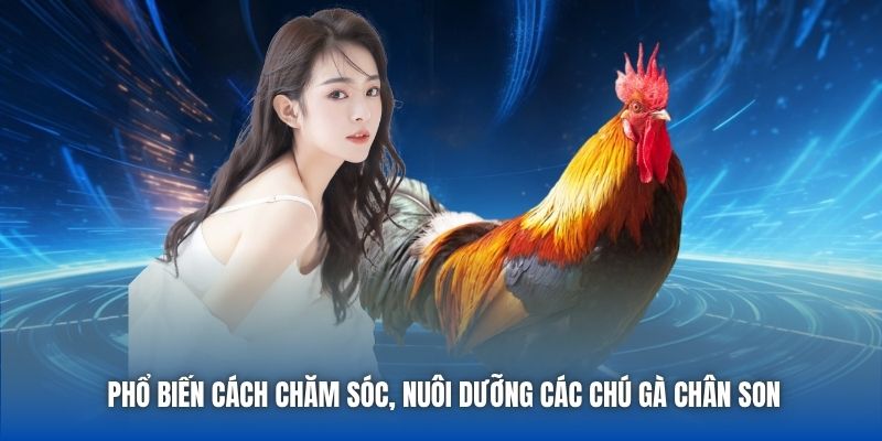 Gà Chân Son Là Gì - Tất Tật Tật Thông Tin Về Giống Kê Quý - Getuxa