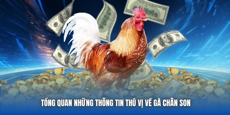 Gà Chân Son Là Gì - Tất Tật Tật Thông Tin Về Giống Kê Quý - Getuxa