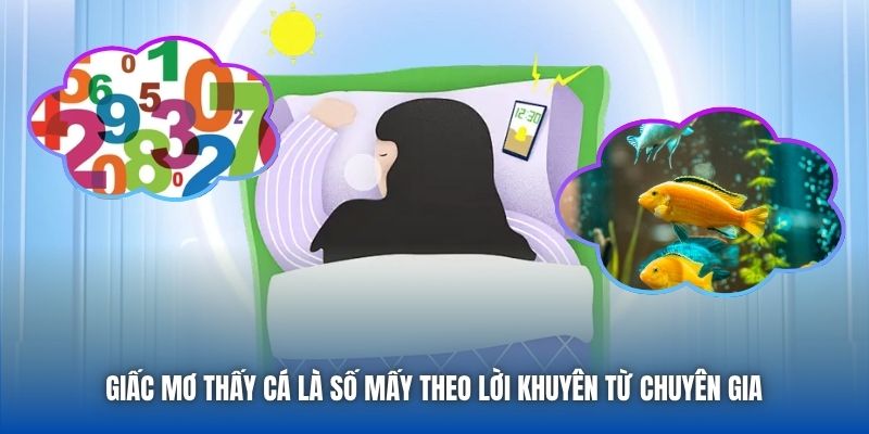 Giấc Mơ Thấy Cá Là Số Mấy Liệu Bạn Đã Biết Đáp Án Hay Chưa? - Getuxa