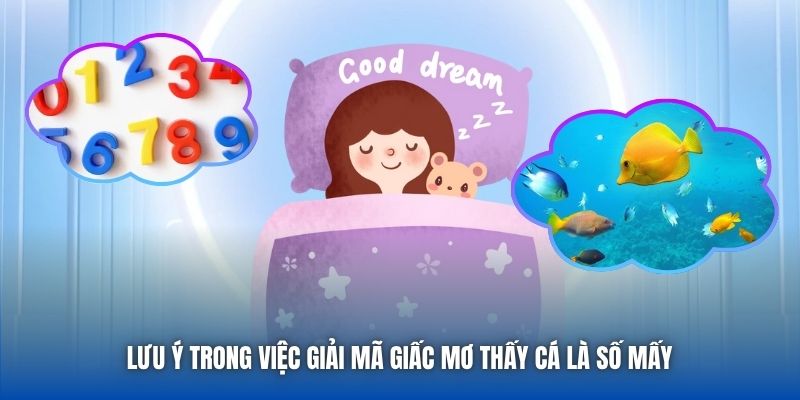 Giấc Mơ Thấy Cá Là Số Mấy Liệu Bạn Đã Biết Đáp Án Hay Chưa? - Getuxa