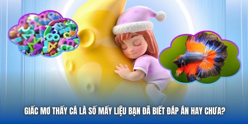 Giấc Mơ Thấy Cá Là Số Mấy Liệu Bạn Đã Biết Đáp Án Hay Chưa? - Getuxa