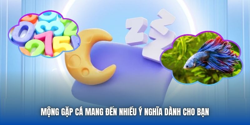 Giấc Mơ Thấy Cá Là Số Mấy Liệu Bạn Đã Biết Đáp Án Hay Chưa? - Getuxa