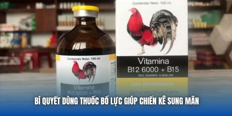 Thuốc Bổ Trợ Lực Cho Gà Đá - Bí Quyết Khỏe Mạnh, Sung Mãn - Getuxa