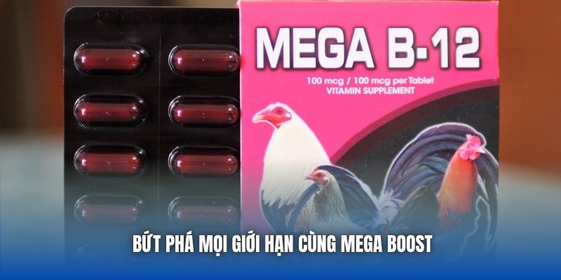 Thuốc Bổ Trợ Lực Cho Gà Đá - Bí Quyết Khỏe Mạnh, Sung Mãn - Getuxa