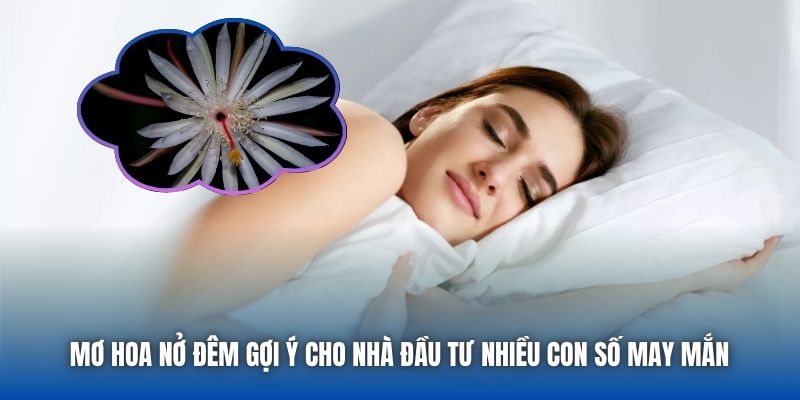 Mơ Thấy Hoa Nở Giữa Đêm | Khi Vũ Trụ Gửi Tín Hiệu May Mắn - Getuxa