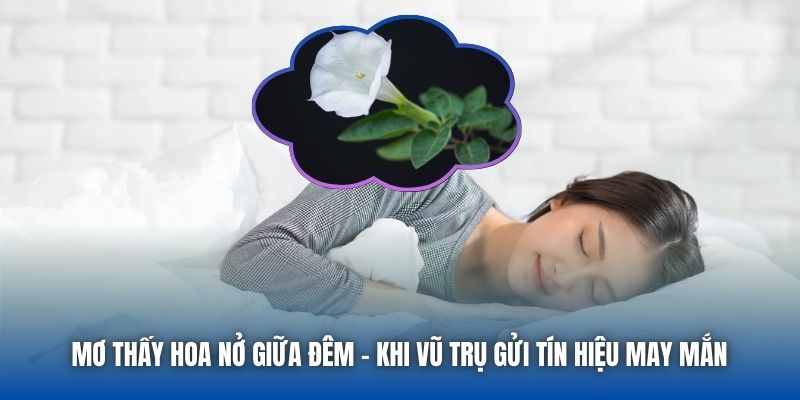 Mơ Thấy Hoa Nở Giữa Đêm | Khi Vũ Trụ Gửi Tín Hiệu May Mắn - Getuxa