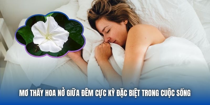 Mơ Thấy Hoa Nở Giữa Đêm | Khi Vũ Trụ Gửi Tín Hiệu May Mắn - Getuxa