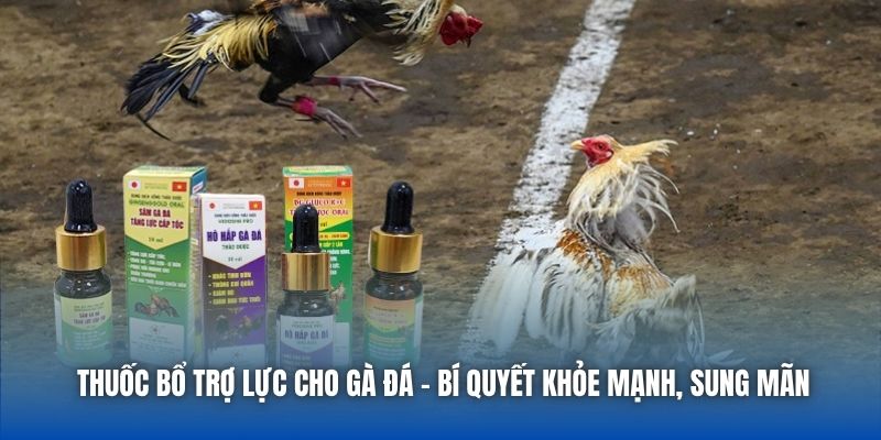 Thuốc Bổ Trợ Lực Cho Gà Đá - Bí Quyết Khỏe Mạnh, Sung Mãn - Getuxa