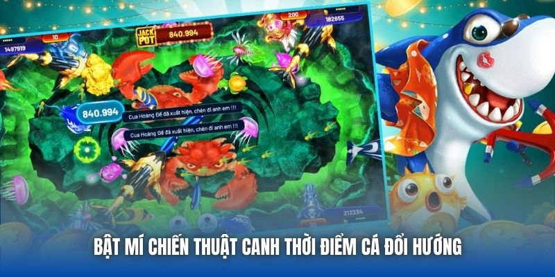 Canh Thời Điểm Cá Đổi Hướng - Bí Kíp Săn Mồi Chuẩn Xác - Getuxa