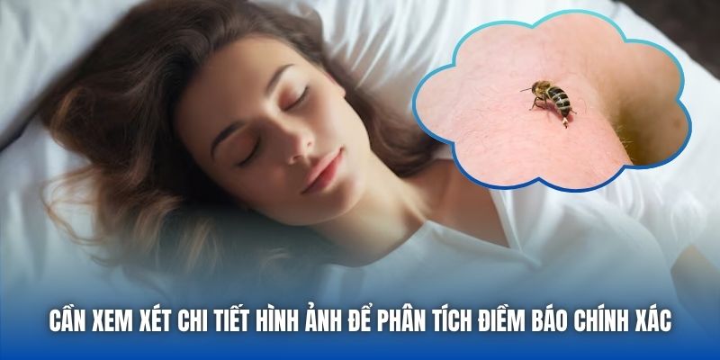 Mơ Thấy Ong Đốt Báo Hiệu Thông Điệp Gì Cho Tương Lai? - Getuxa