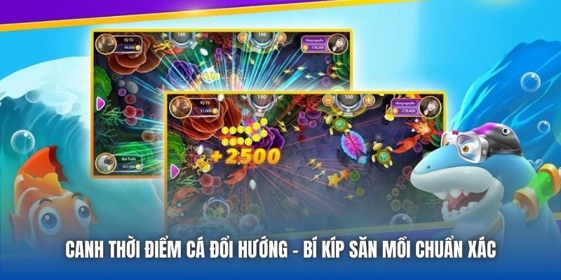 Canh Thời Điểm Cá Đổi Hướng - Bí Kíp Săn Mồi Chuẩn Xác - Getuxa