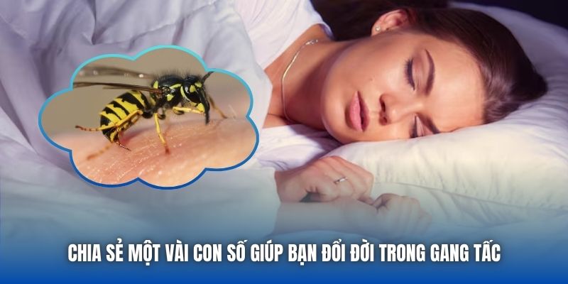 Mơ Thấy Ong Đốt Báo Hiệu Thông Điệp Gì Cho Tương Lai? - Getuxa