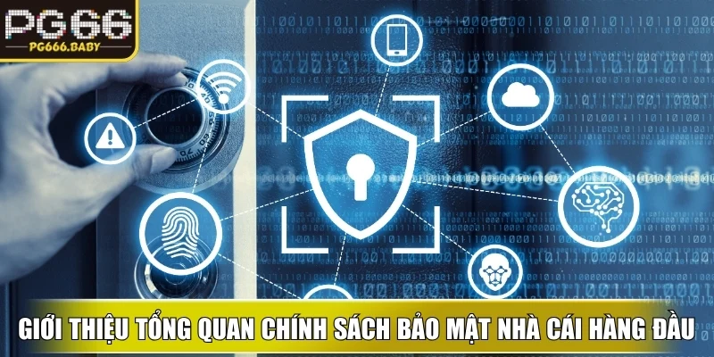 Chính Sách Bảo Mật PG66: An Toàn Thông Tin Tối Ưu - Getuxa