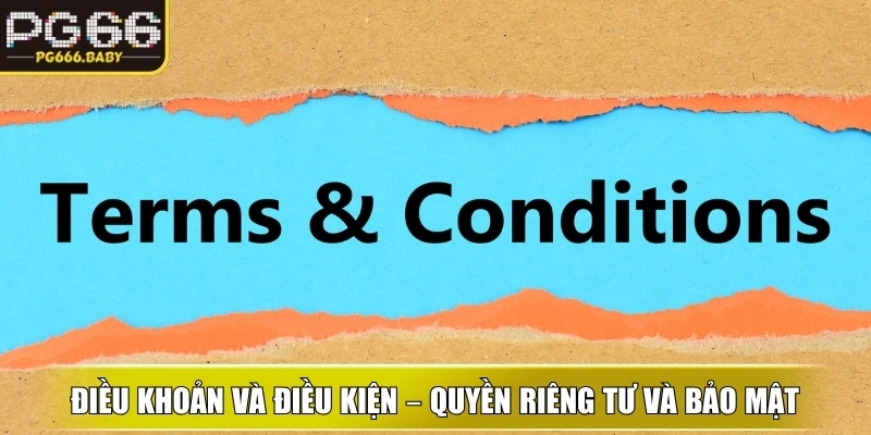 Điều Khoản Và Điều Kiện PG66: Hướng Dẫn Minh Bạch - Getuxa