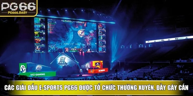 E-Sports PG66 – Không Gian Thể Thao Điện Tử Đỉnh Cao - Getuxa